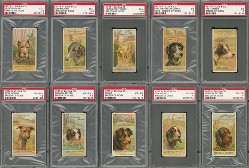 Scarce 1880s N375 Ellis "Breeds of Dogs" Near Set (24/25) - #1 on the PSA Set Registry! 